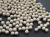 hollow glass molecular sieve 